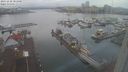 ./images/victoria/wharf/20231228/wharf20231228_083501.jpg
