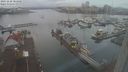 ./images/victoria/wharf/20231228/wharf20231228_084000.jpg