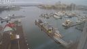 ./images/victoria/wharf/20231228/wharf20231228_101500.jpg
