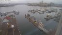 ./images/victoria/wharf/20231228/wharf20231228_122000.jpg