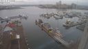 ./images/victoria/wharf/20231228/wharf20231228_122500.jpg