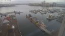 ./images/victoria/wharf/20231228/wharf20231228_124500.jpg