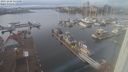 ./images/victoria/wharf/20231228/wharf20231228_135000.jpg