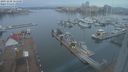 ./images/victoria/wharf/20231228/wharf20231228_155000.jpg