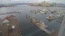 ./images/victoria/wharf/20231229/wharf20231229_095500.jpg