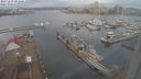 ./images/victoria/wharf/20231229/wharf20231229_101501.jpg