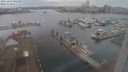 ./images/victoria/wharf/20231229/wharf20231229_105001.jpg