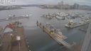 ./images/victoria/wharf/20231229/wharf20231229_110500.jpg