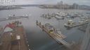 ./images/victoria/wharf/20231229/wharf20231229_111000.jpg