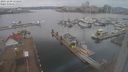 ./images/victoria/wharf/20231229/wharf20231229_111500.jpg