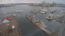 ./images/victoria/wharf/20231229/wharf20231229_112501.jpg