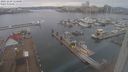 ./images/victoria/wharf/20231229/wharf20231229_114501.jpg