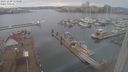 ./images/victoria/wharf/20231229/wharf20231229_115000.jpg