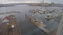 ./images/victoria/wharf/20231229/wharf20231229_115501.jpg
