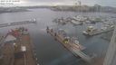 ./images/victoria/wharf/20231229/wharf20231229_120000.jpg