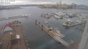./images/victoria/wharf/20231229/wharf20231229_120500.jpg