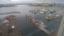 ./images/victoria/wharf/20231229/wharf20231229_122500.jpg