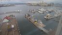 ./images/victoria/wharf/20231229/wharf20231229_124000.jpg
