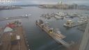 ./images/victoria/wharf/20231229/wharf20231229_124501.jpg