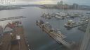 ./images/victoria/wharf/20231229/wharf20231229_153500.jpg