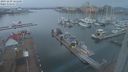 ./images/victoria/wharf/20231229/wharf20231229_161501.jpg
