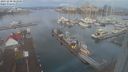 ./images/victoria/wharf/20231230/wharf20231230_082500.jpg