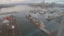 ./images/victoria/wharf/20231230/wharf20231230_091501.jpg