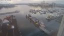 ./images/victoria/wharf/20231230/wharf20231230_093501.jpg
