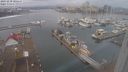 ./images/victoria/wharf/20231230/wharf20231230_105500.jpg