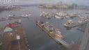 ./images/victoria/wharf/20231230/wharf20231230_110000.jpg