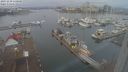./images/victoria/wharf/20231230/wharf20231230_110500.jpg
