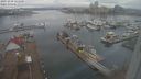 ./images/victoria/wharf/20231230/wharf20231230_121500.jpg
