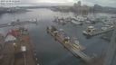 ./images/victoria/wharf/20231230/wharf20231230_122500.jpg