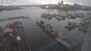 ./images/victoria/wharf/20231230/wharf20231230_142501.jpg