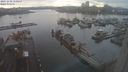 ./images/victoria/wharf/20231230/wharf20231230_150500.jpg