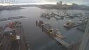 ./images/victoria/wharf/20231230/wharf20231230_153500.jpg
