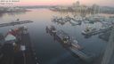 ./images/victoria/wharf/20231231/wharf20231231_080500.jpg