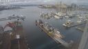 ./images/victoria/wharf/20240101/wharf20240101_121001.jpg