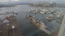 ./images/victoria/wharf/20240101/wharf20240101_134500.jpg