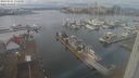 ./images/victoria/wharf/20240101/wharf20240101_135000.jpg