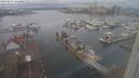./images/victoria/wharf/20240101/wharf20240101_141000.jpg