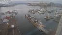 ./images/victoria/wharf/20240101/wharf20240101_141500.jpg