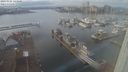 ./images/victoria/wharf/20240101/wharf20240101_143500.jpg