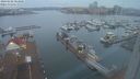 ./images/victoria/wharf/20240102/wharf20240102_083000.jpg