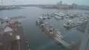 ./images/victoria/wharf/20240102/wharf20240102_083500.jpg