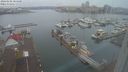 ./images/victoria/wharf/20240102/wharf20240102_084000.jpg