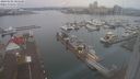 ./images/victoria/wharf/20240102/wharf20240102_085500.jpg