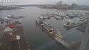 ./images/victoria/wharf/20240102/wharf20240102_091500.jpg