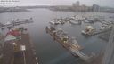 ./images/victoria/wharf/20240102/wharf20240102_100000.jpg