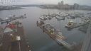 ./images/victoria/wharf/20240102/wharf20240102_101500.jpg